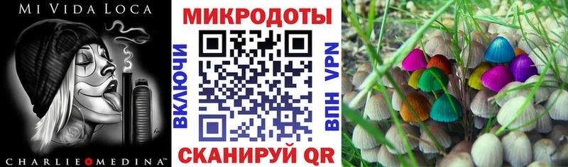 площадка как зайти  Волгодонск  Галлюциногенные грибы ЛСД 