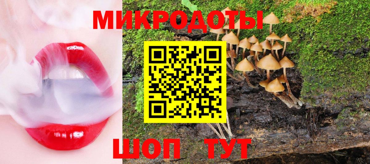 Псилоцибиновые грибы Cubensis  Вход с VPN  Волгодонск 