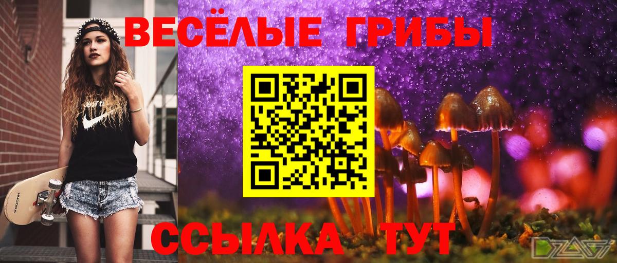 Галлюциногенные грибы мухоморы Волгодонск