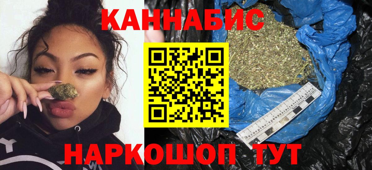 Бошки Шишки планчик  Марихуана план  Каннабис THC 21%  Вход с VPN  Волгодонск 